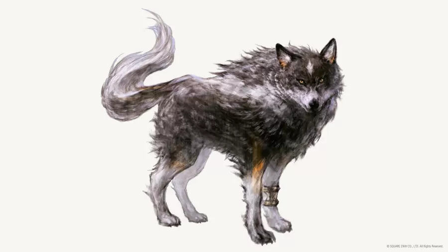 Final Fantasy XVI Torgal