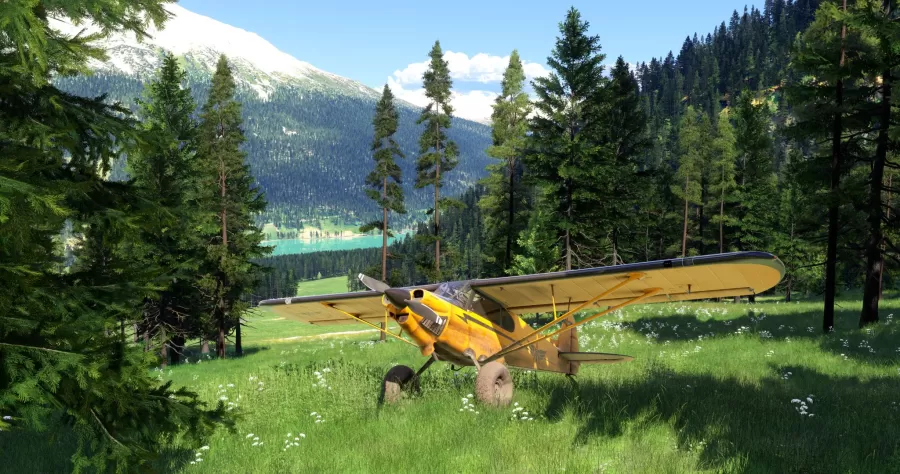Microsoft Flight Simulator 2024 Screenshot 1