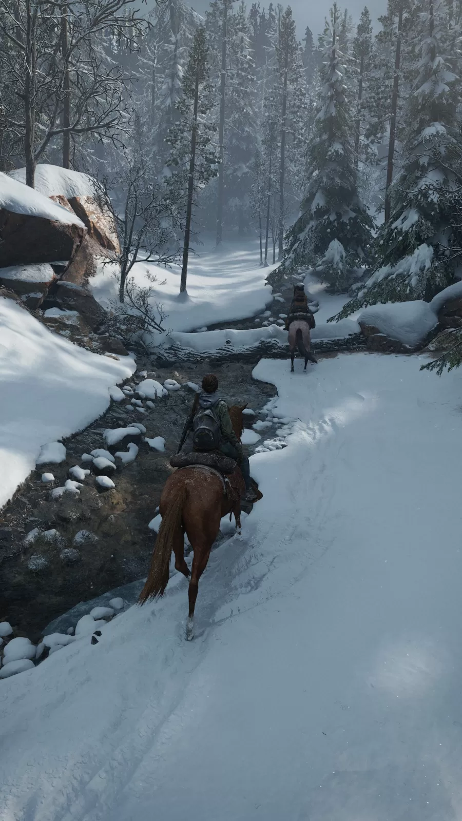 The Last of Us Part II PC screenshot 2