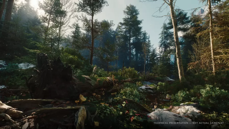 The_Witcher_4_UE5_tech_demo_PS5_Forest_CLEAN