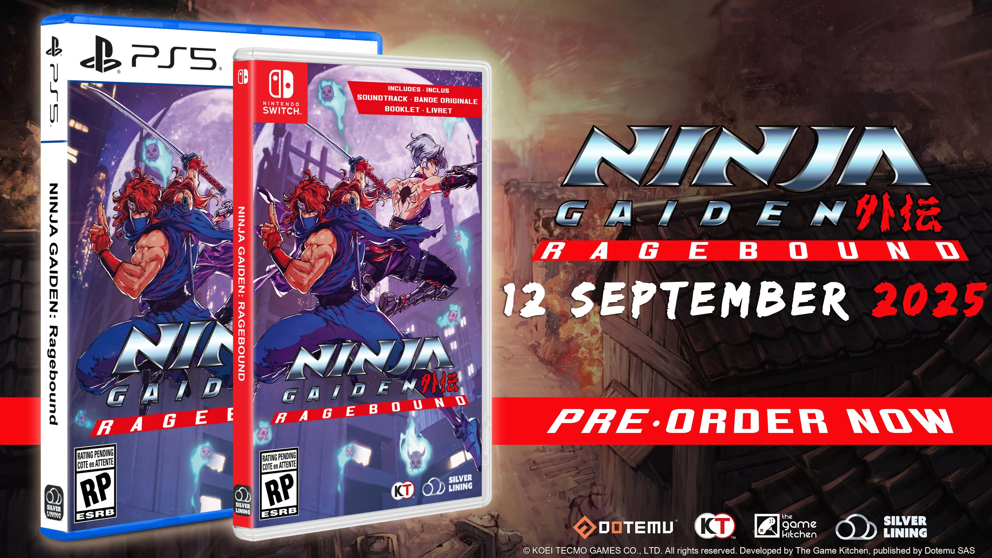 NINJA GAIDEN: Ragebound standard