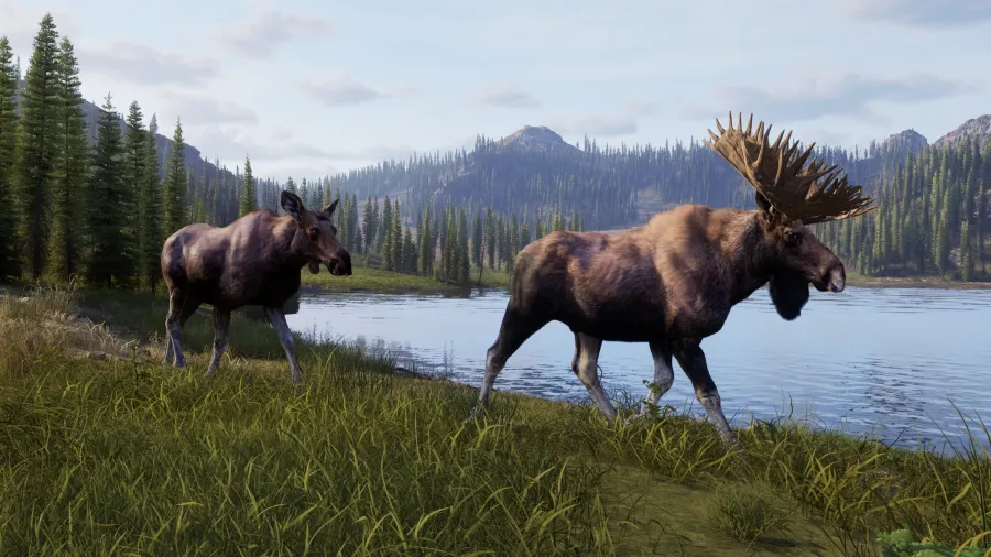 Way of the Hunter 2 Screenshot 06